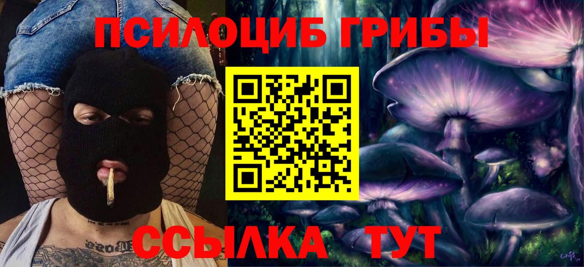Галлюциногенные грибы прущие грибы Сибай